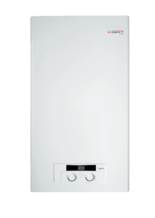 Котел газовый настенный Protherm Рысь НК24