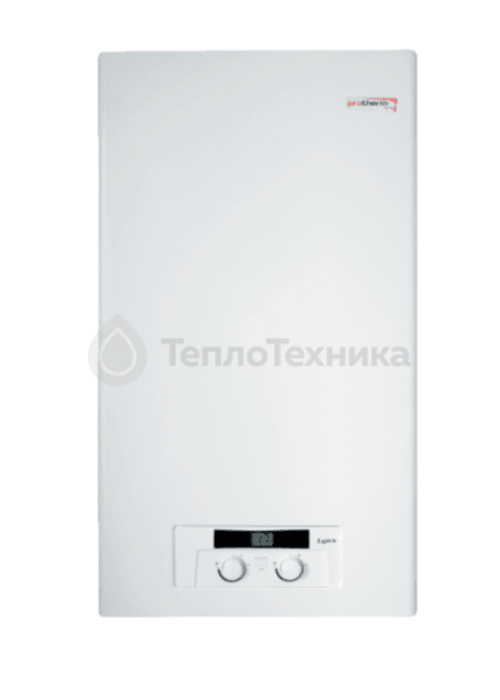 Котел газовый настенный Protherm Рысь НК24